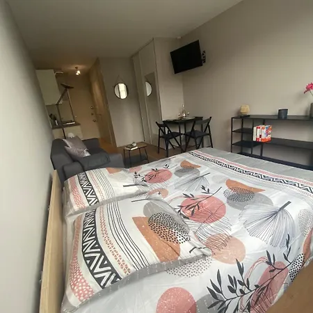 Joli Au Coeur Des Thermes Apartman *